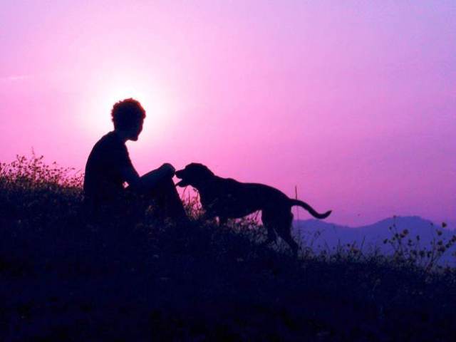 Man and Dog at Dawn