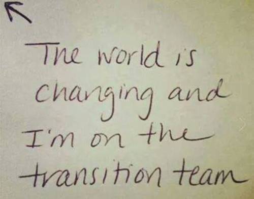 Transition Team