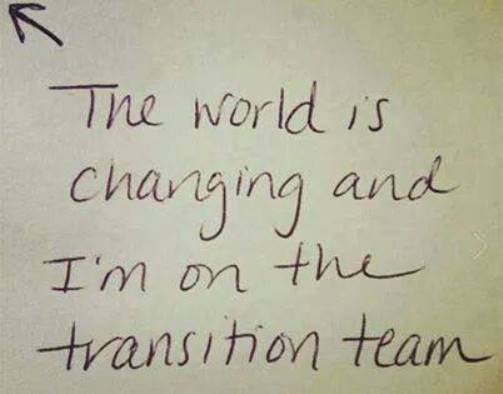 World_Transition_Team