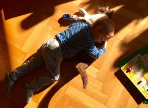 Mappalicious - Cat Content